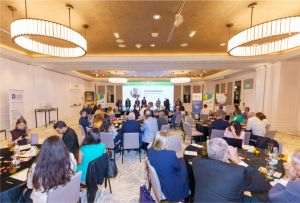 Investiţii masive şi reforme legislative - priorităţile sistemului energetic naţional